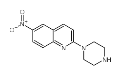 6-nitro-2-piperazin-1-ylquinoline