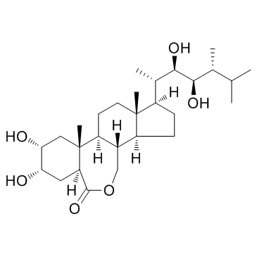 epibrassinolide CAS:78821-43-9 manufacturer price 第1张