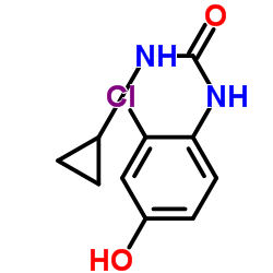 N-(2-Chloro-4-hydroxyphenyl)-N'-cyclopropyl-urea Cas:796848-79-8 第1张
