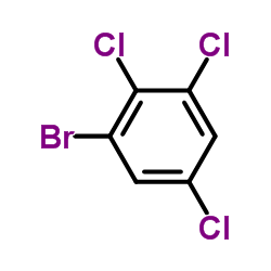 2,3,5-Trichloorobromobenzene Cas:81067-38-1 第1张