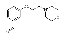 3-(2-morpholin-4-ylethoxy)benzaldehyde