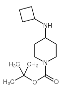 tert-butyl 4-(cyclobutylamino)piperidine-1-carboxylate CAS:812690-41-8 第1张