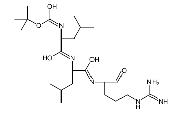 tert-butyl N-[1-[[1-[[5-(diaminomethylideneamino)-1-oxopentan-2-yl]amino]-4-methyl-1-oxopentan-2-yl]amino]-4-methyl-1-oxopentan-2-yl]carbamate