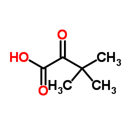 3,3-Dimethyl-2-oxobutyric Acid Cas:815-17-8 第1张