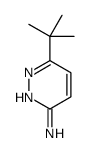 6-tert-butylpyridazin-3-amine CAS:82560-18-7 第1张