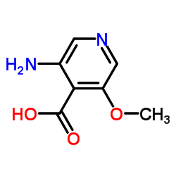 3-Amino-5-methoxyisonicotinic acid