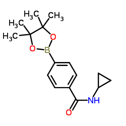 N-cyclopropyl-4-(4,4,5,5-tetramethyl-1,3,2-dioxaborolan-2-yl)benzamide