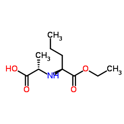 N-[(S)-Ethoxycarbonyl-1-Butyl]-(S)-Alanine CAS:82834-12-6 第1张