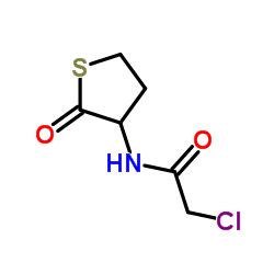 2-CHLORO-N-(2-OXO-3-THIENYL)ACETAMIDE