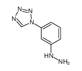 [3-(tetrazol-1-yl)phenyl]hydrazine CAS:847737-47-7 第1张