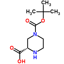 (S)-4-N-Boc-Piperazine-2-carboxylic acid