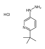 (6-tert-butylpyridin-3-yl)hydrazine,hydrochloride