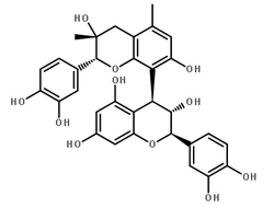 Grape Seed Extract CAS:84929-27-1 manufacturer price 第1张