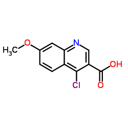 4-Chloro-7-methoxy-3-quinolinecarboxylic acid