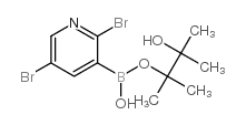 2,5-dibromopyridine-3-boronic acid pinacol ester