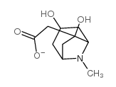 3,6-Dihydroxy-8-Methyl-8-Azabicyclo[3.2.1]Octane-6-Acetate Cas:85644-59-3 第1张