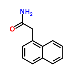 1-naphthylacetamide Cas:86-86-2 第1张