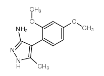 4-(2,4-dimethoxyphenyl)-5-methylpyrazolidin-3-amine