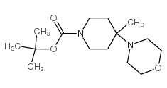 tert-butyl 4-methyl-4-morpholin-4-ylpiperidine-1-carboxylate