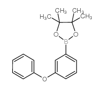 4,4,5,5-tetramethyl-2-(3-phenoxyphenyl)-1,3,2-dioxaborolane