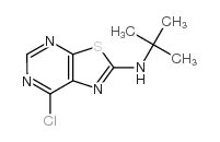 N-tert-butyl-7-chloro-[1,3]thiazolo[5,4-d]pyrimidin-2-amine