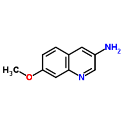 7-Methoxy-3-quinolinamine CAS:87199-83-5 第1张