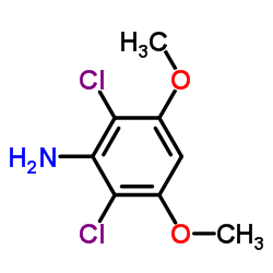 2,6-Dichloro-3,5-dimethoxyaniline CAS:872509-56-3 manufacturer price 第1张