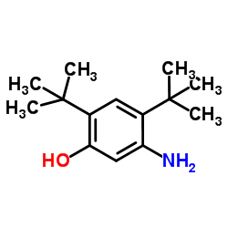 5-amino-2,4-di-tert-butylphenol Cas:873055-58-4 第1张