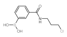 [3-(3-chloropropylcarbamoyl)phenyl]boronic acid