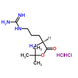 H-Arg-OtBu.2HCl