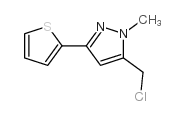 5-(chloromethyl)-1-methyl-3-thiophen-2-ylpyrazole