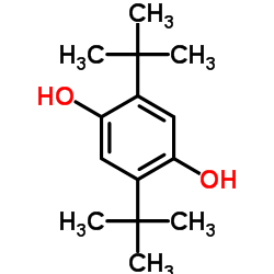 antioxygen dtbhq (2,5-di-tert-butylhydroquinone) Cas:88-58-4 第1张
