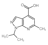 1-Isopropyl-6-methyl-1H-pyrazolo[3,4-b]pyridine-4-carboxylic acid CAS:883544-72-7 第1张