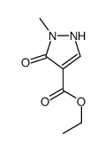 Ethyl 5-hydroxy-1-methyl-1H-pyrazole-4-carboxylate CAS:88398-78-1 第1张