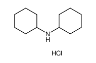 n-cyclohexyl-cyclohexylamine hydrochloride