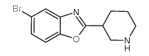 5-bromo-2-piperidin-3-yl-1,3-benzoxazole