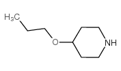 4-n-Propoxypiperidine