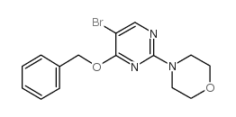 4-(5-bromo-4-phenylmethoxypyrimidin-2-yl)morpholine CAS:885952-23-8 第1张