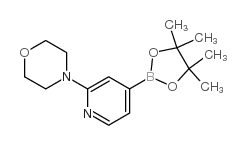 4-[4-(4,4,5,5-tetramethyl-1,3,2-dioxaborolan-2-yl)pyridin-2-yl]morpholine Cas:888721-86-6 第1张