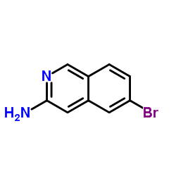 6-bromoisoquinolin-3-amine CAS:891785-28-7 manufacturer price 第1张