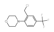 4-[2-(chloromethyl)-4-(trifluoromethyl)phenyl]morpholine CAS:892502-15-7 第1张