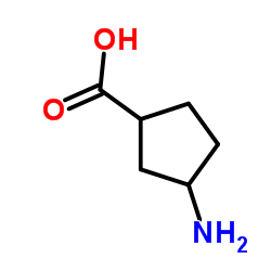 3-Aminocyclopentanecarboxylic Acid Cas:89614-96-0 第1张