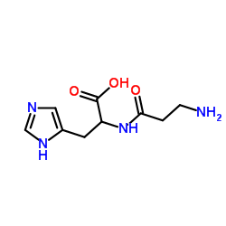 α-Amylase