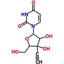 Bacillus stearothermophilus Alanine Racemase