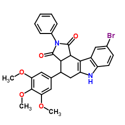 Clostripain