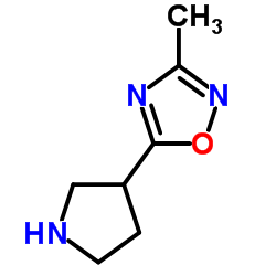 3-METHYL-5-PYRROLIDIN-3-YL-1,2,4-OXADIAZOLE