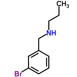 N-(3-Bromobenzyl)-1-propanamine CAS:90389-92-7 第1张