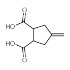 4-METHYLENE-CYCLOPENTANE-1,2-DICARBOXYLIC ACID