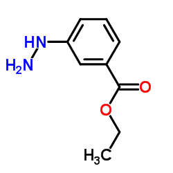 Ethyl 3-hydrazinobenzoate