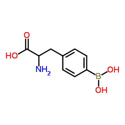 4-BORONO-DL-PHENYLALANINEB10ENRICHED